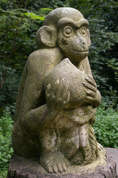 20090912 Moganshan 4859