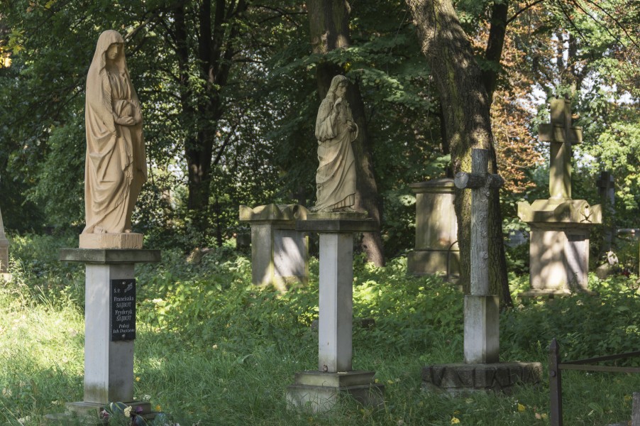 2014 Tarnobrzeg, ul. S. Orła, cmentarz 02