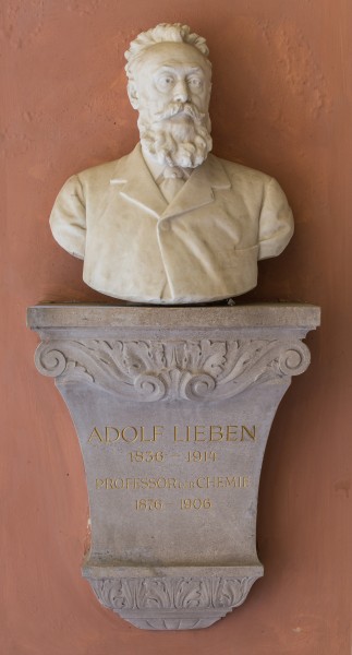 Adolf Lieben (Nr. 61) Bust in the Arkadenhof, University of Vienna-9344
