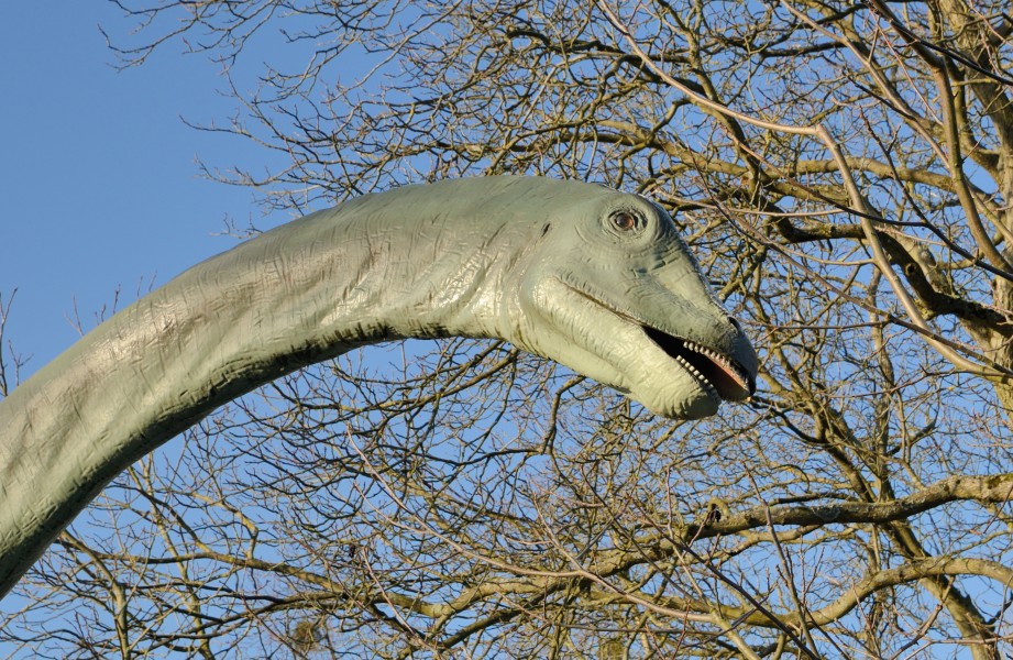 Basel - Bruderholz Dinosaurier5