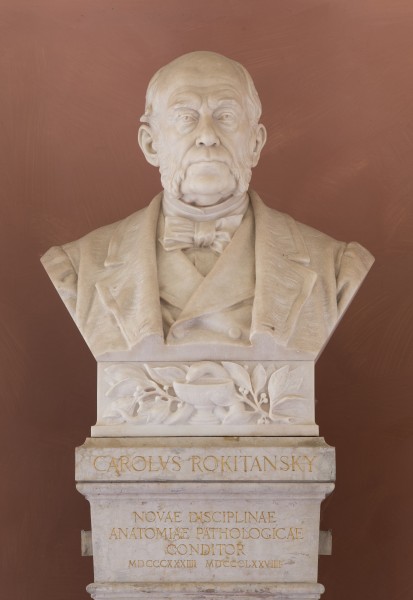 Carl von Rokitansky (Nr. 54) Bust in the Arkadenhof, University of Vienna-9281