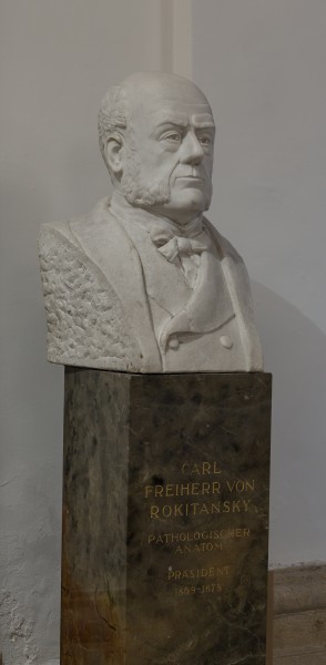 Carl von Rokitansky, Pathologist, bust in the aula of the Academy of Sciencis, Vienna - hu - 8540