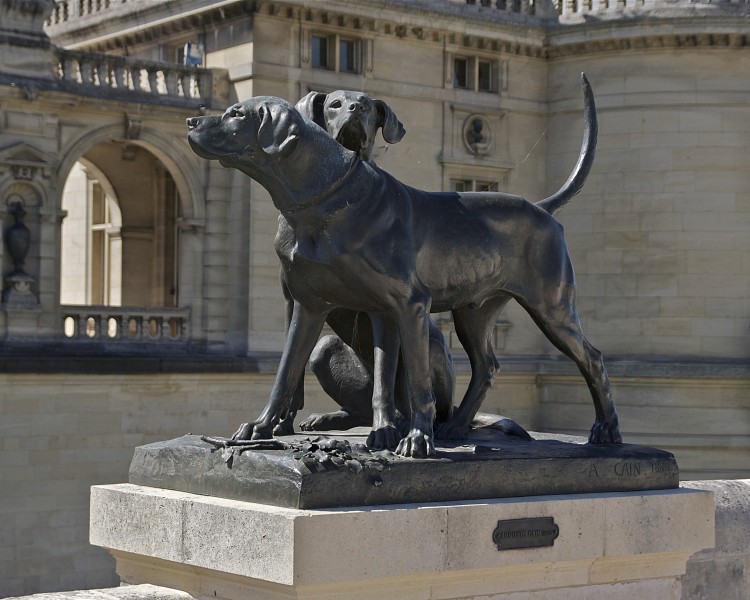 Chiens Cain Chantilly