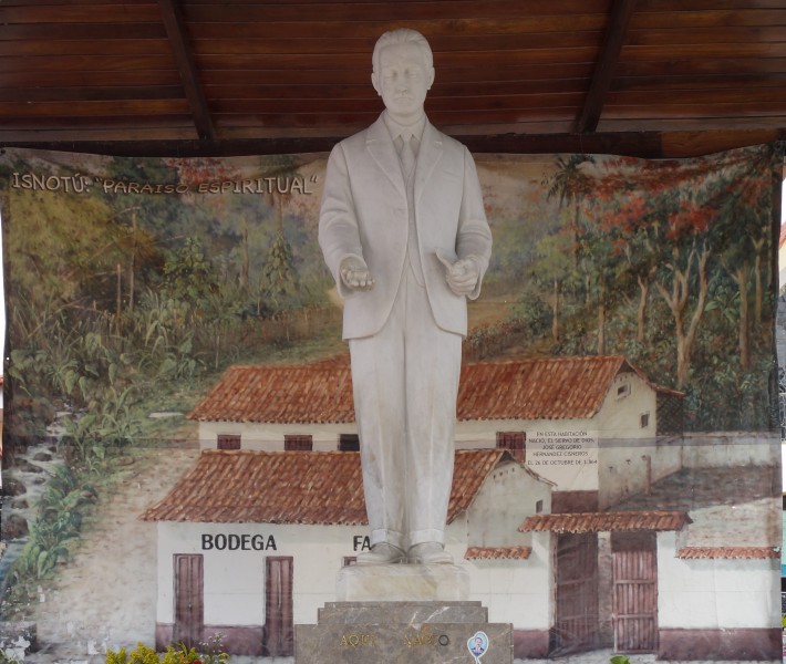 Dr. José Gregorio Hernández I