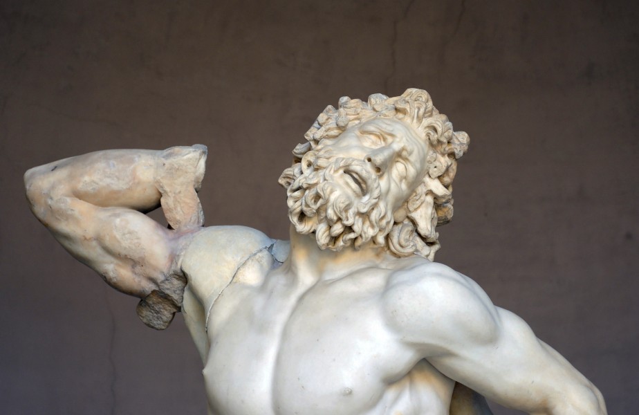 Face of Laocoon in Vatican