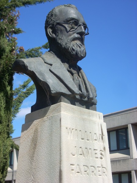 Farrer 02 statuejpg