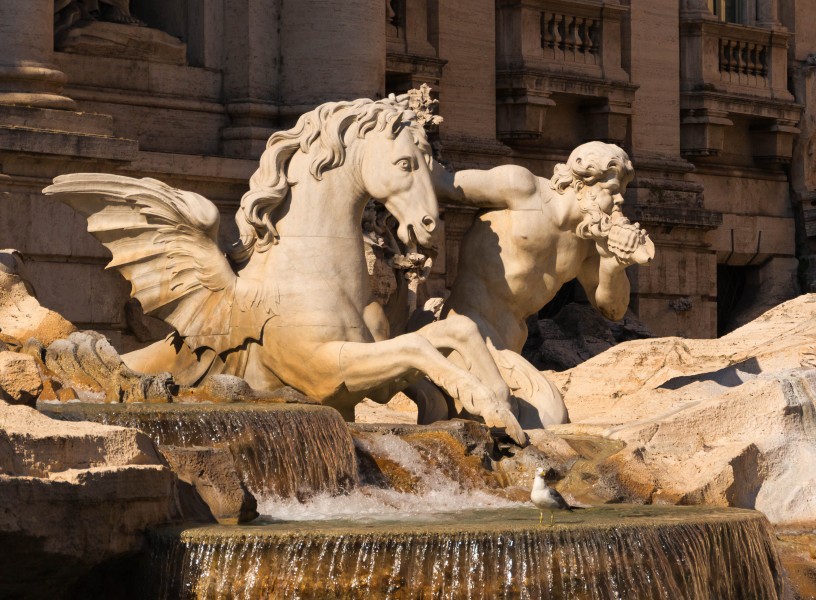 Fountain Trevi detail Rome