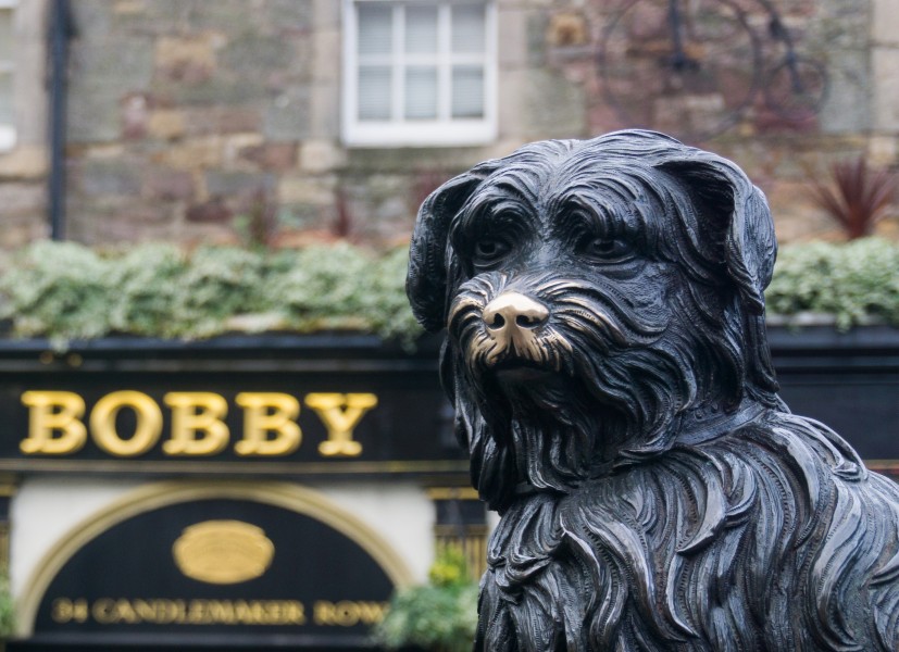 Greyfriars Bobby Statue Edinburgh