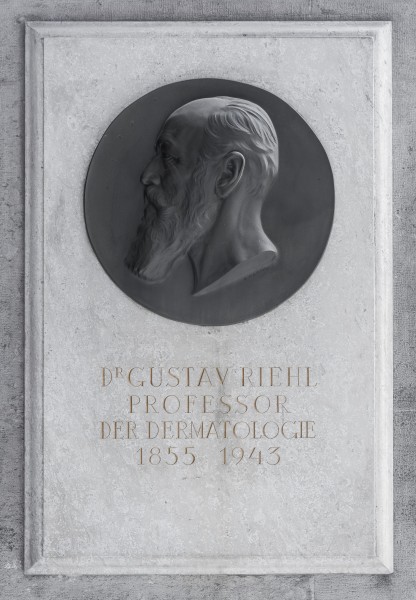 Gustav Riehl (1855-1943), Nr. 92 basrelief (bronce) in the Arkadenhof of the University of Vienna-2303-HDR-Bearbeitet