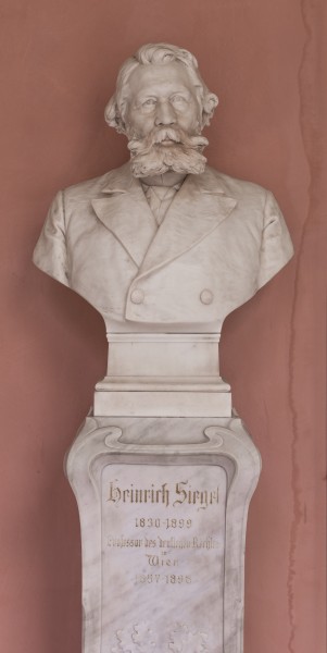Heinrich Siegel (Nr. 16) - Bust in the Arkadenhof, University of Vienna - 0282