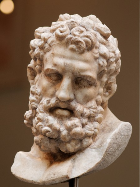 Heracles Farnese head Met 27.122.18 n02