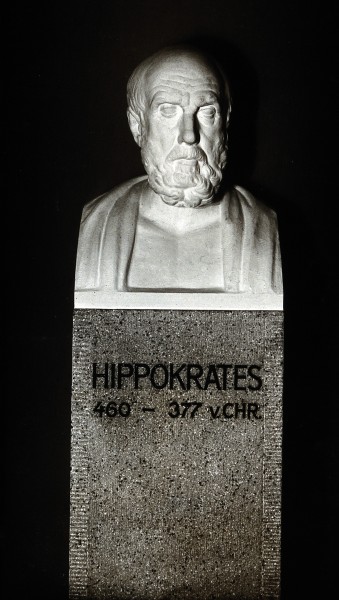 Hippocrates. Photograph after a bust. Wellcome V0028717