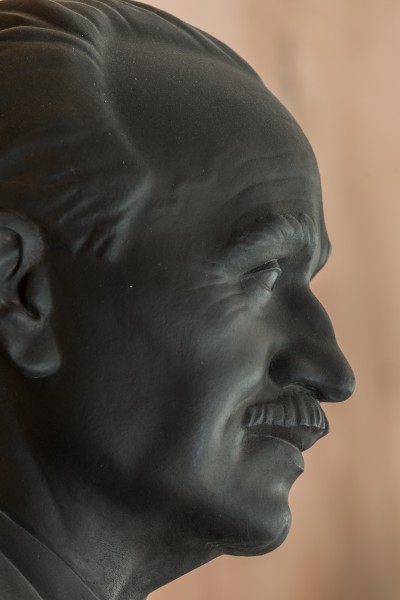 Johann Radon (1887-1956), Nr. 107, bust (bronce) in the Arkadenhof of the University of Vienna-2890