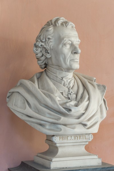 Josef Hyrtl (1810-1894), Nr. 113, bust (marble) in the Arkadenhof of the University of Vienna-2979