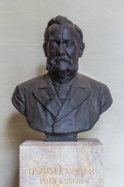 Josef Unger (Nr. 65) bust (bronce) in the Arkadenhof, University of Vienna-9326