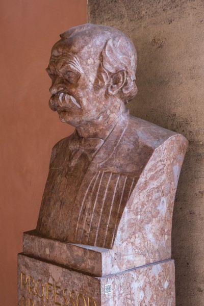 Julius Tandler (1869-1936), Nr 76 bust (marble) in the Arkadenhof of the University of Vienna-2308-HDR