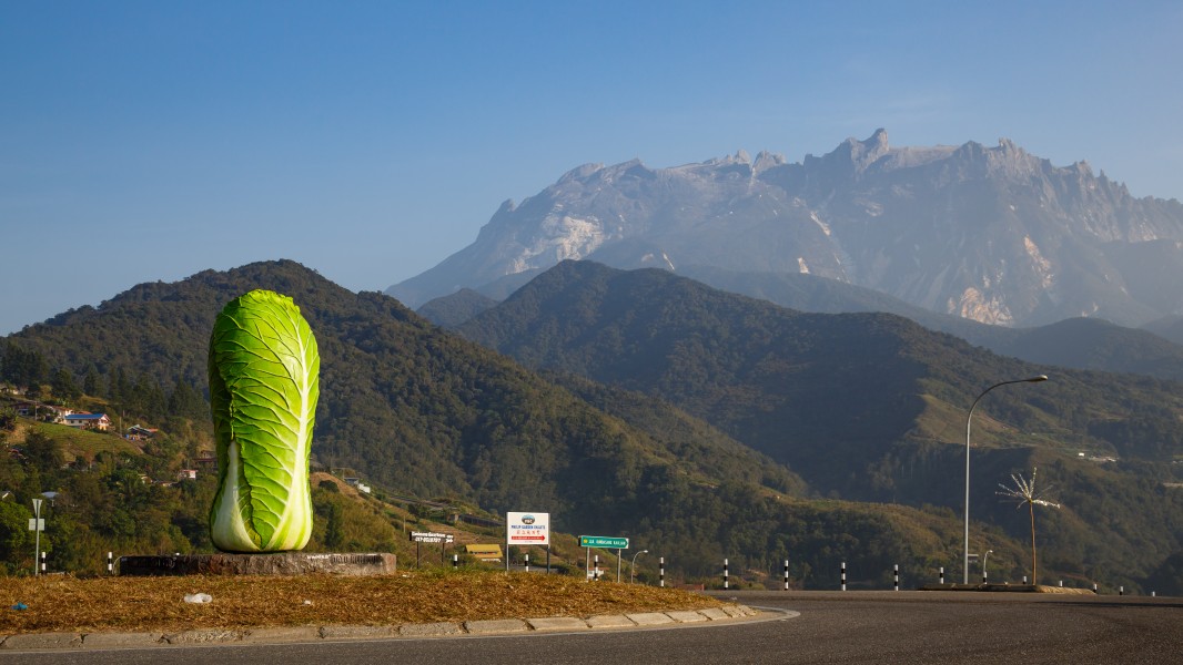 Kundasang Sabah Cabbage-roundabout-03