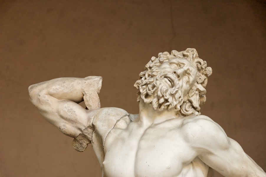 Laocoon Pio-Clementino Inv1059-1064-1067 n2