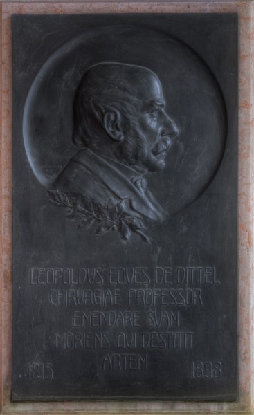 Leopold von Dittel (1815-1898), Nr. 79 basrelief (bronze) in the Arkadenhof of the University of Vienna 1397