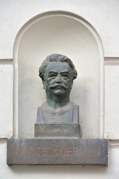 Ludwig von Tetmajer Bueste Hof TU Wien-DSC 6752w
