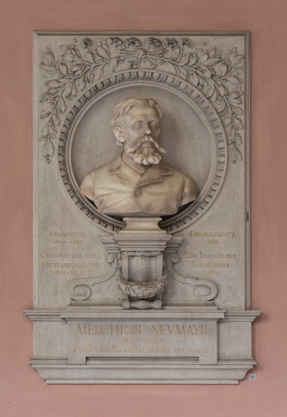 Melchior Neumayr (Nr. 48) Bust in the Arkadenhof, University of Vienna-1363