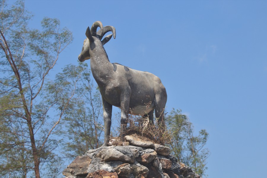 Nilgiri Tahr Statue Ponmudi 2