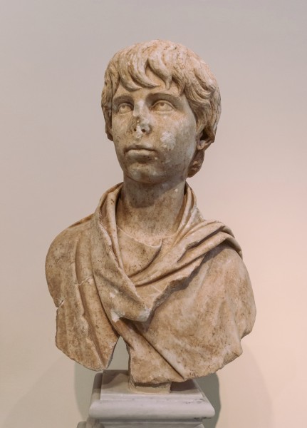 Polydeukion 4811 NAMAthens