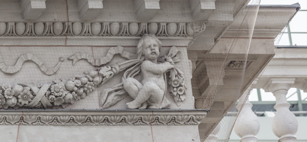 Putto 11 at the NHM Vienna, Medium Avant-corps Bellariastraße-3689