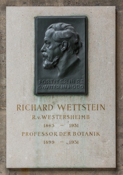 Richard Wettstein von Westersheim (Nr. 24) Basrelief in the Arkadenhof, University of Vienna-1334-Bearbeitet