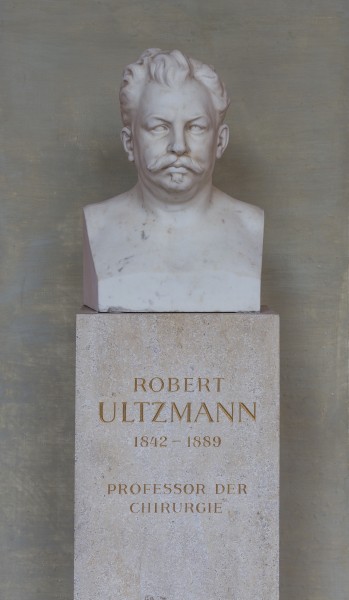 Robert Ultzmann (1842-1889), Nr. 69, bust (marble) in the Arkadenhof of the University of Vienna-1281