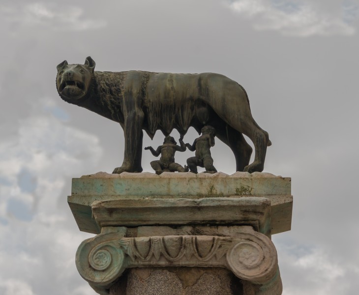 Roman She-wolf, Romulus, Remus, replica Capitole, Rome, Italy