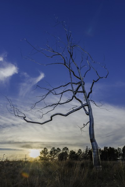 Roxy Paine - Askew (2009, NCMOA)