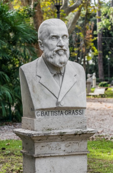 Statue of Giovanni Battista Grassi