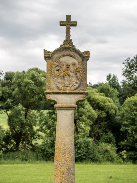 Steigerwald-Marter-Falsbrunn-7039128