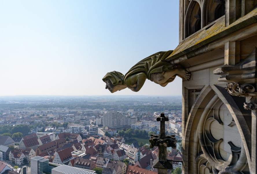 Ulm Münster Westturm Wasserspeier 01