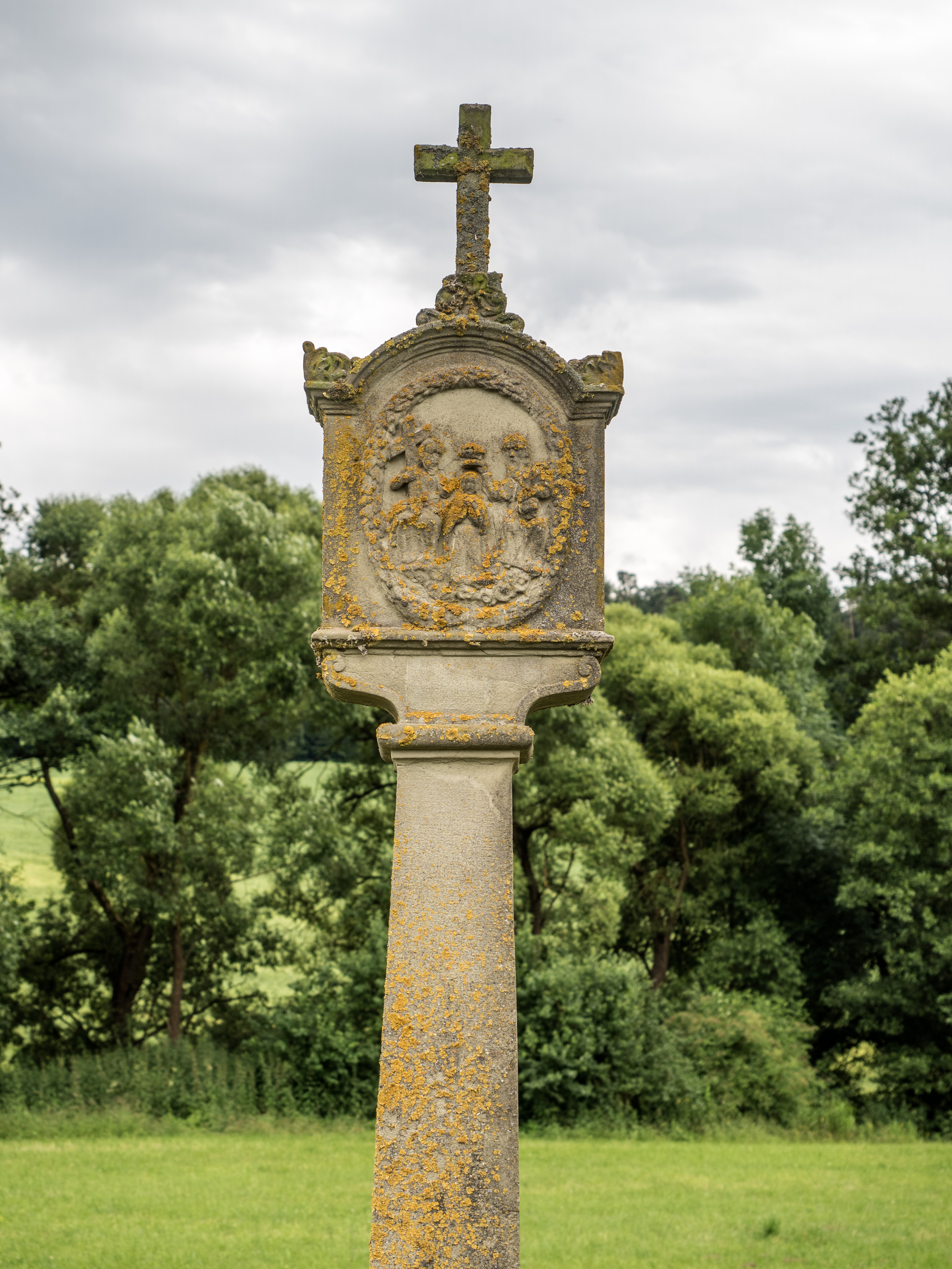 Steigerwald-Marter-Falsbrunn-7039128