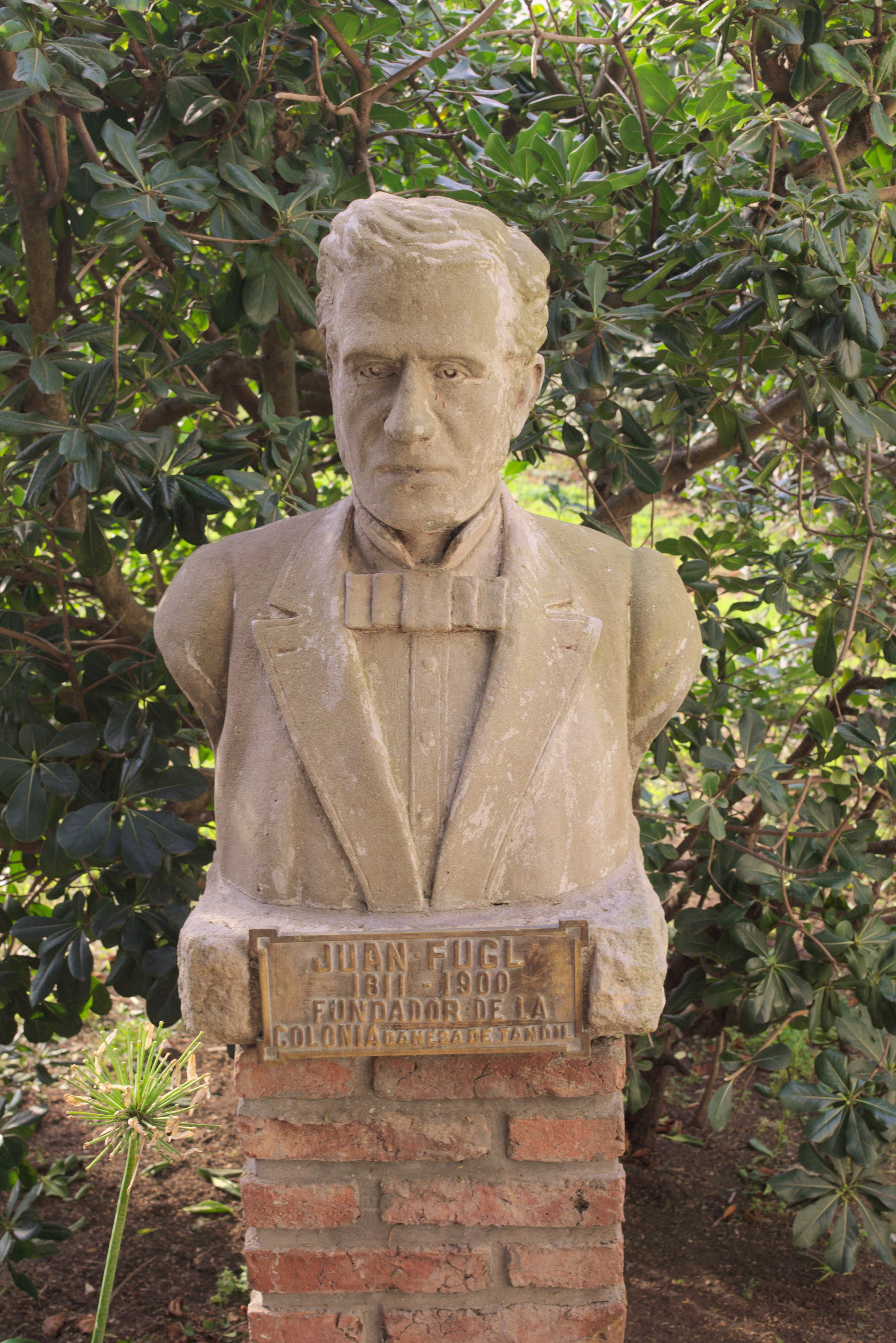 BustoaJuanFugl