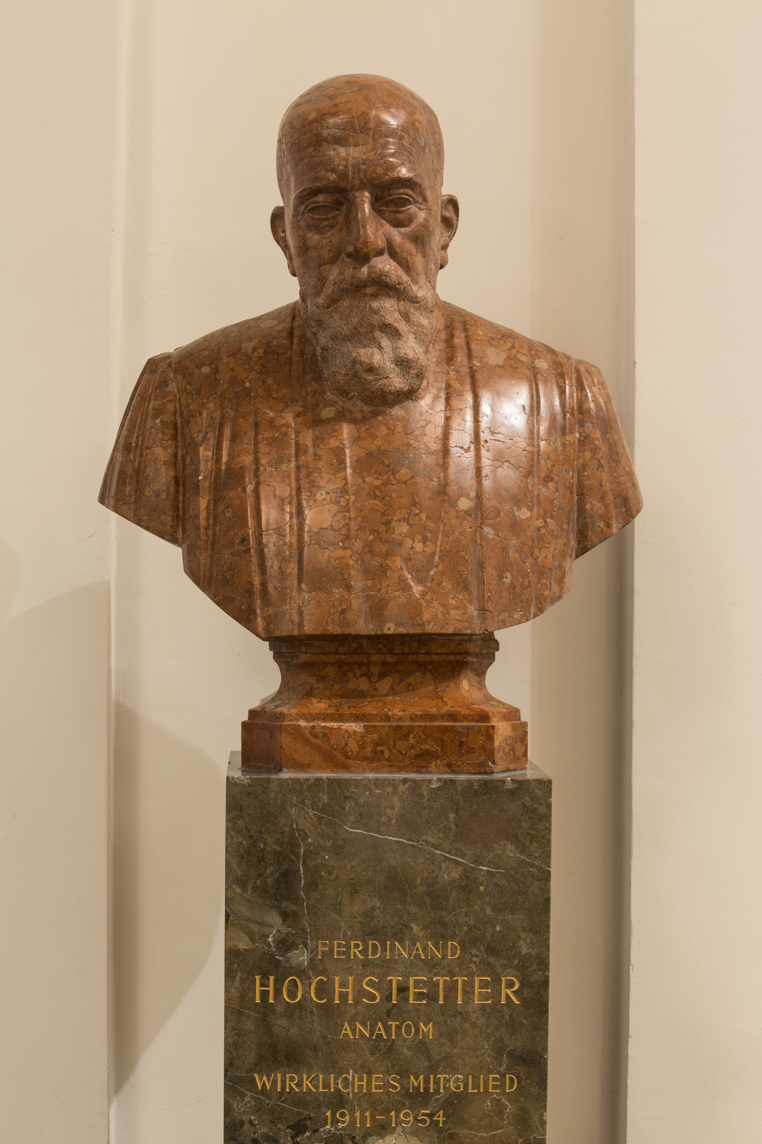 Ferdinand Hochstetter, Anatom - Bust in the Aula of the Academy of Sciences, Vienna - hu -8576