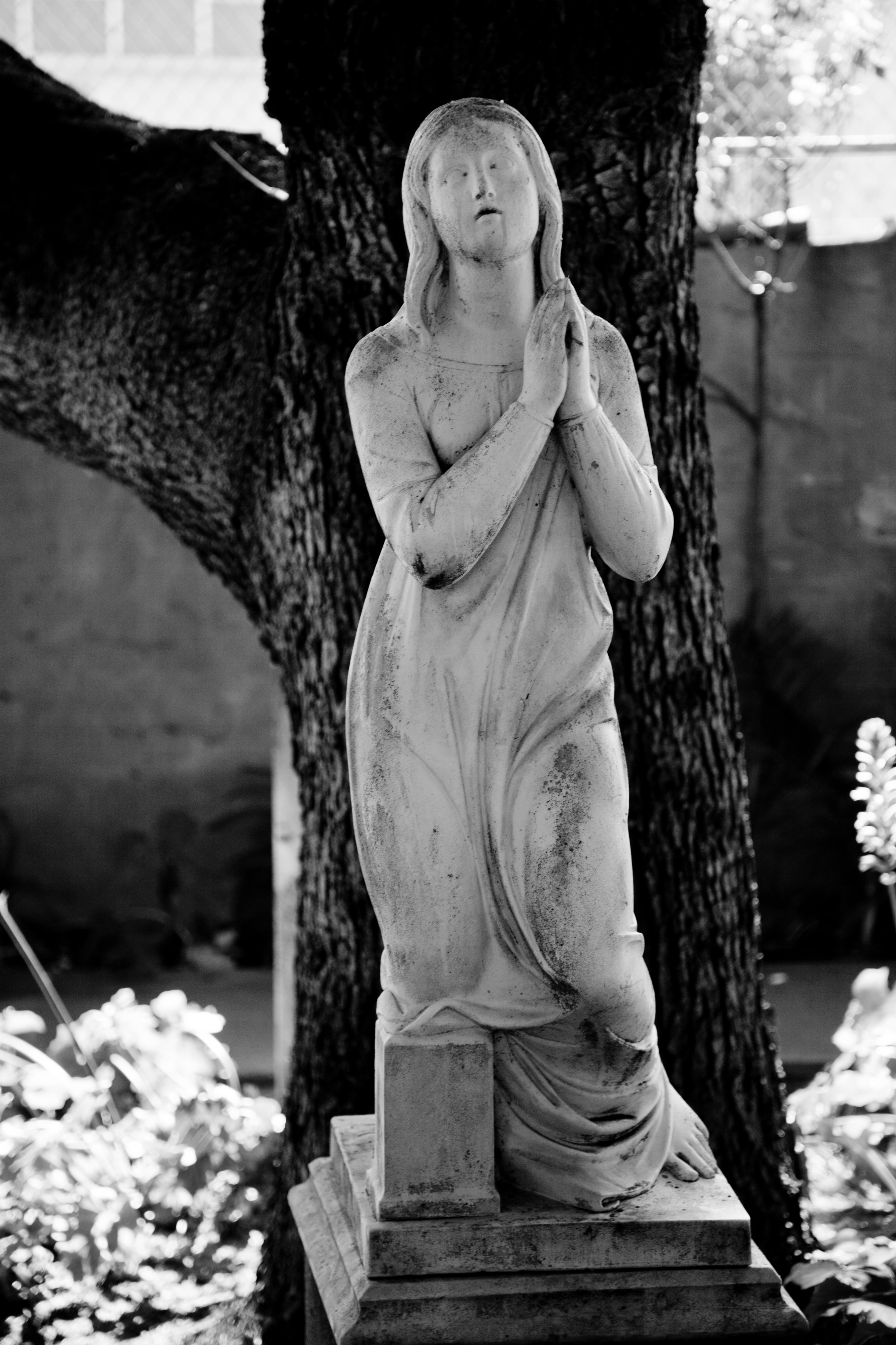 Mission Dolores-48