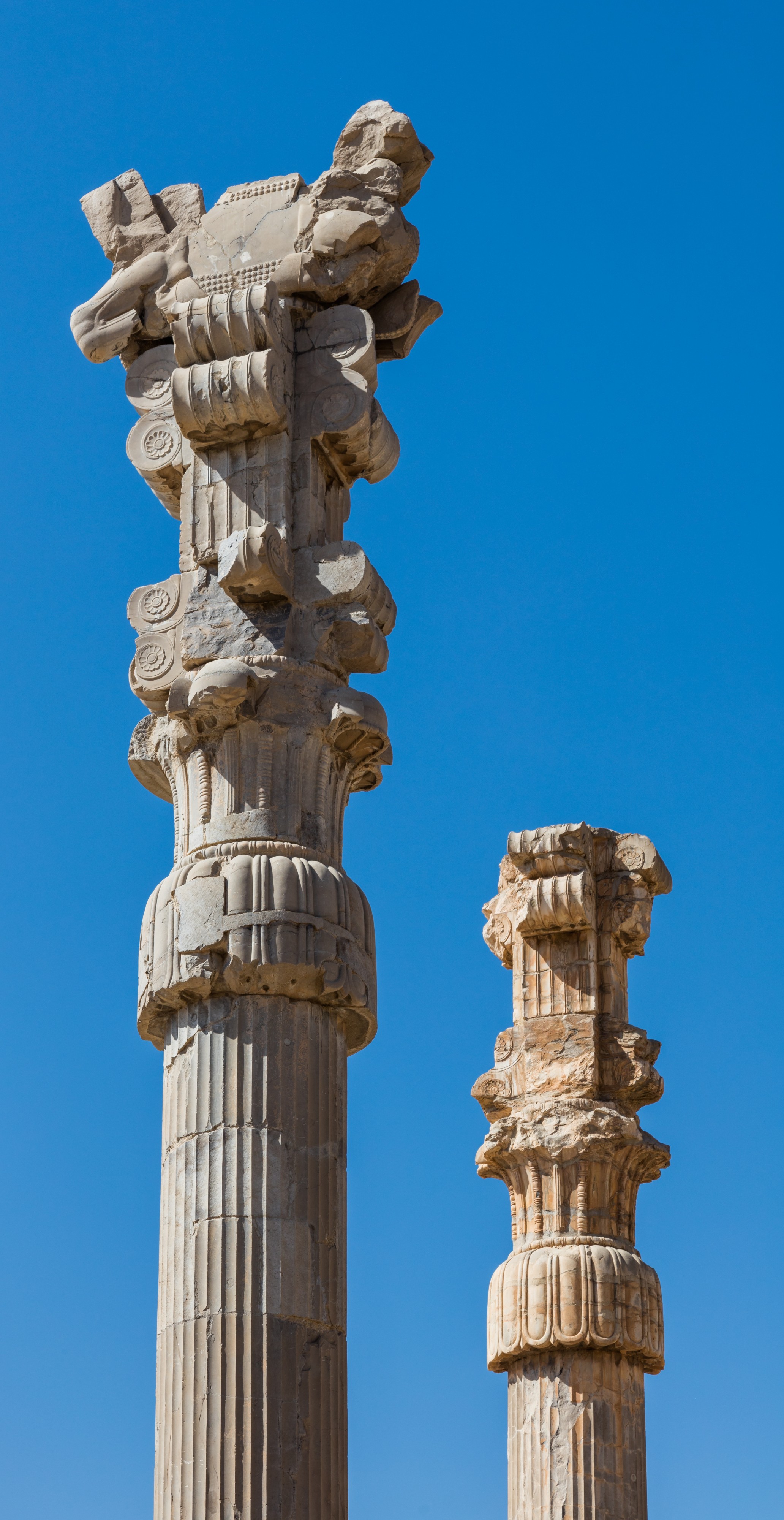 Persépolis, Irán, 2016-09-24, DD 29