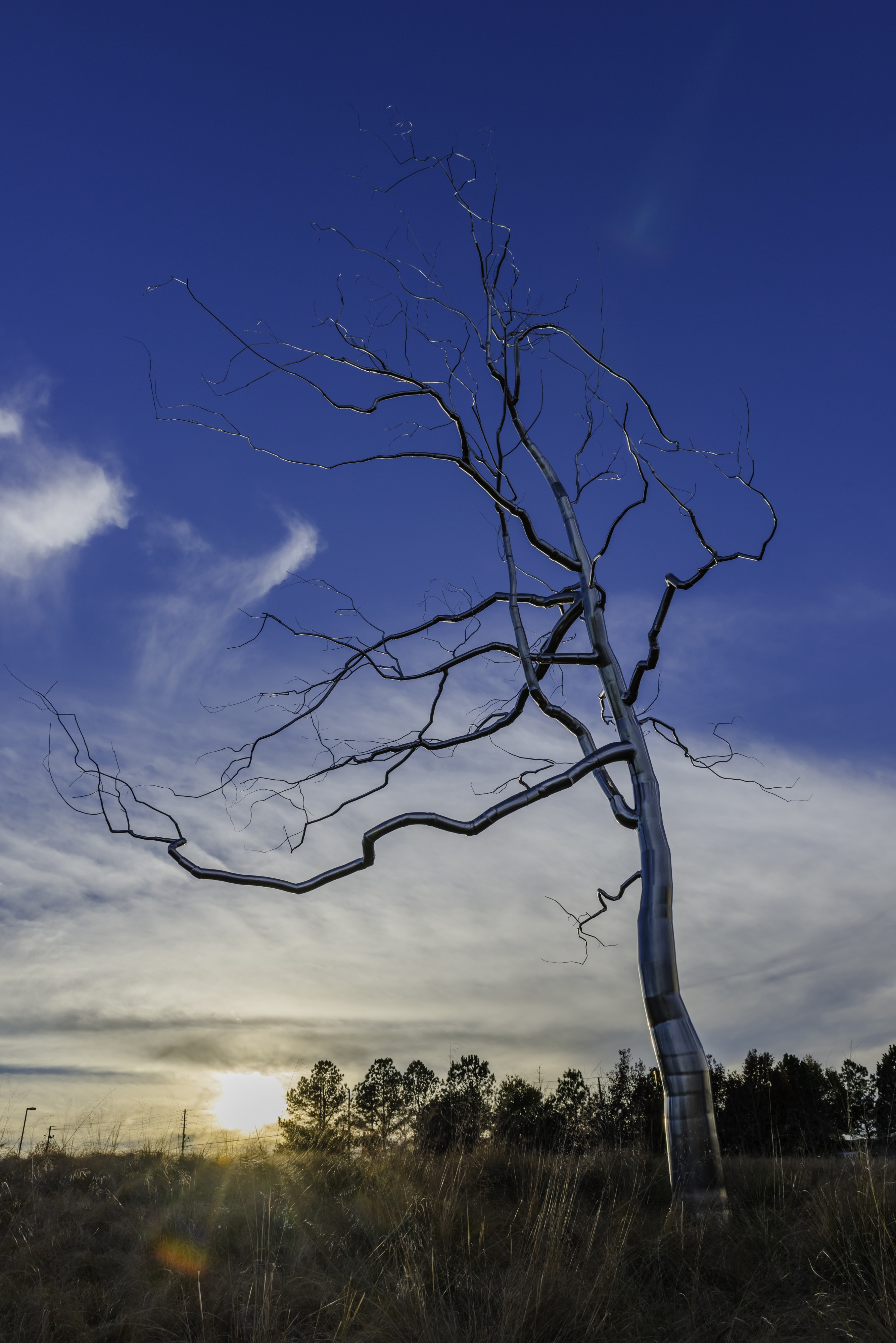 Roxy Paine - Askew (2009, NCMOA)