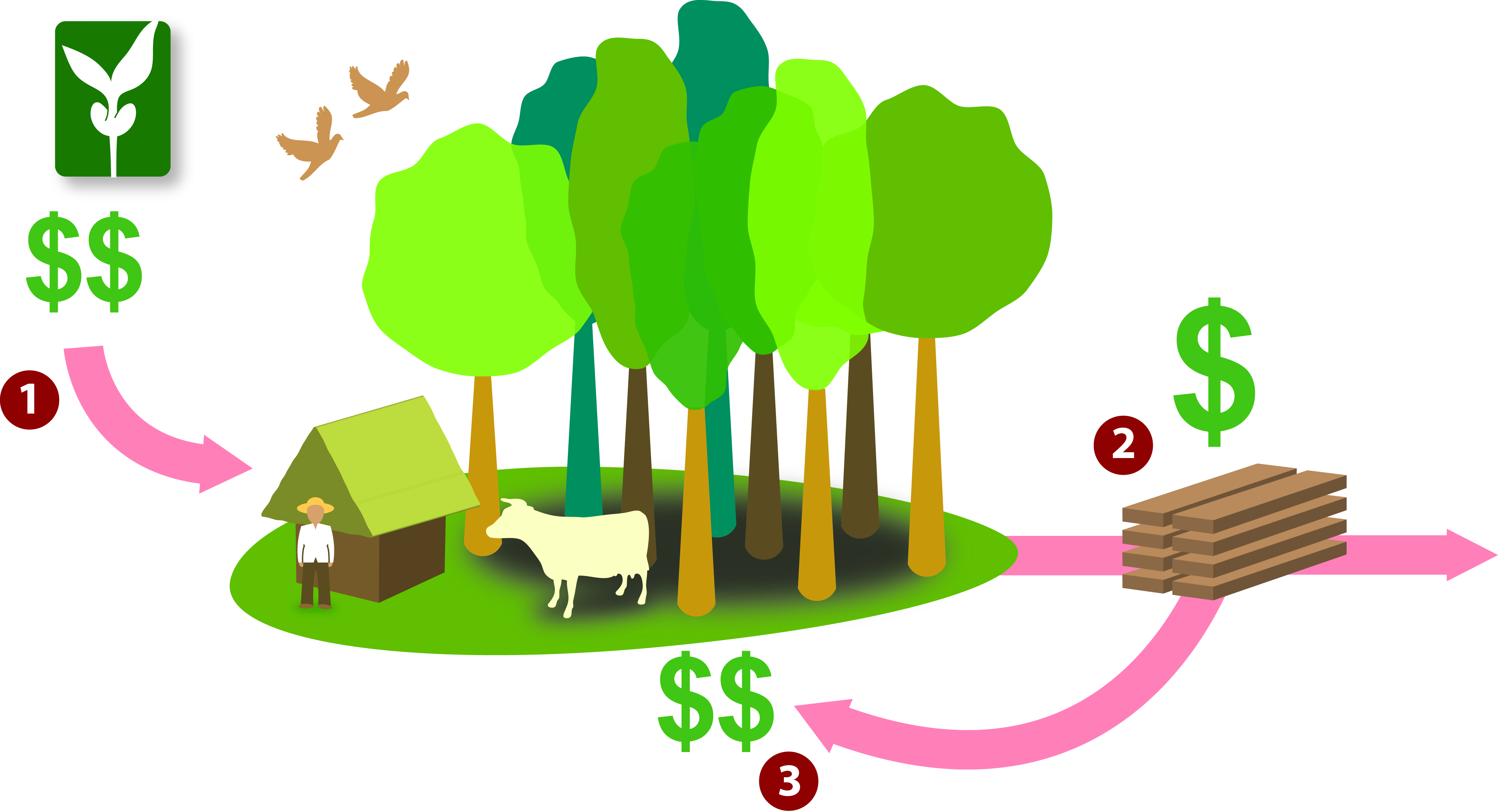 PE Business Model