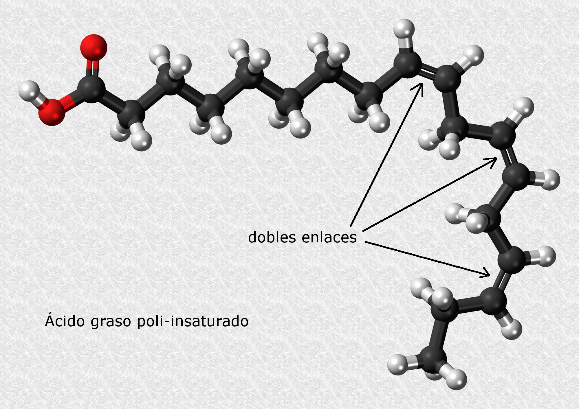 Acidos-grasos-tipos3