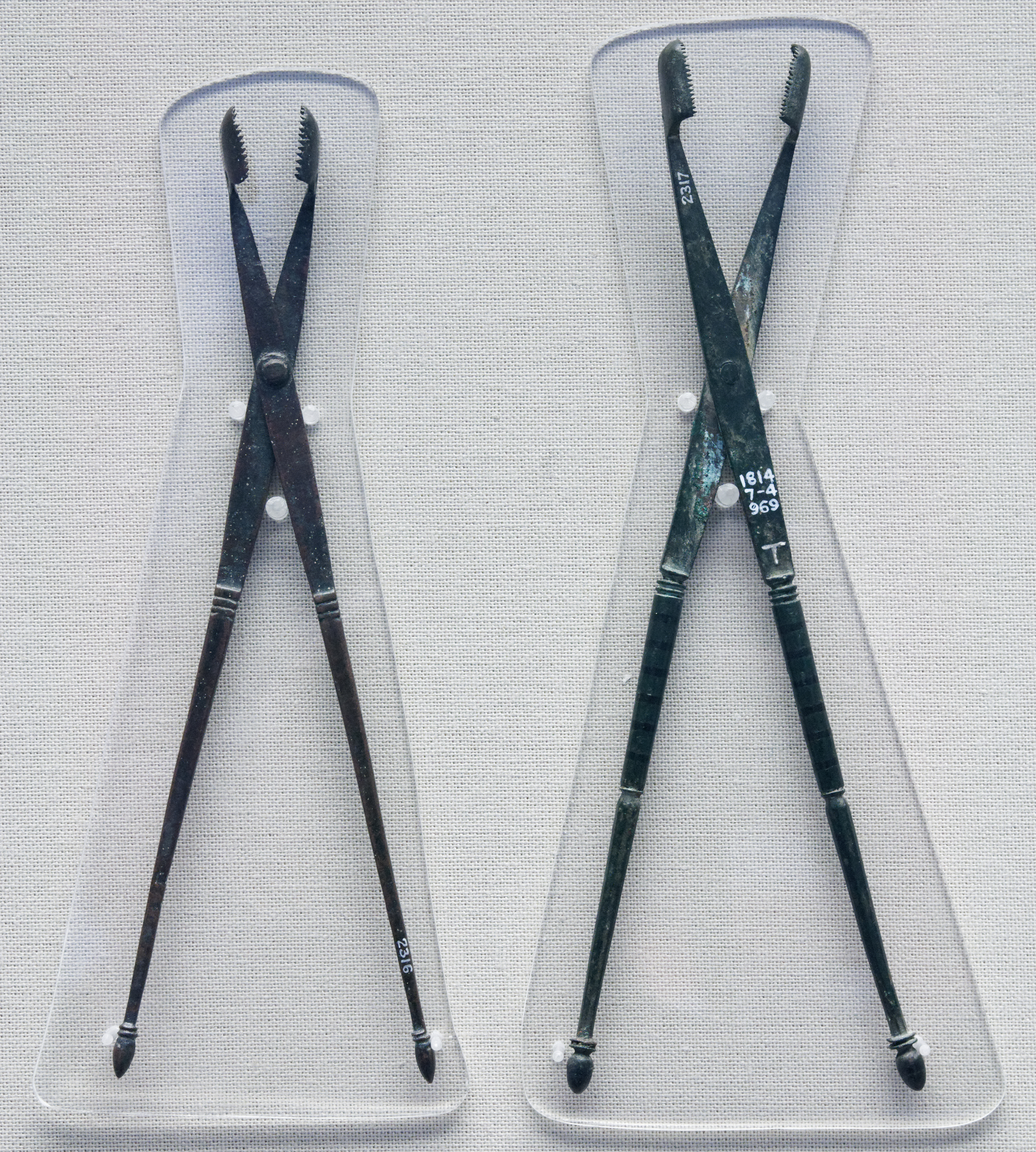 Bronze forceps BM GR1878.10-19.145-GR1814.7-4.969