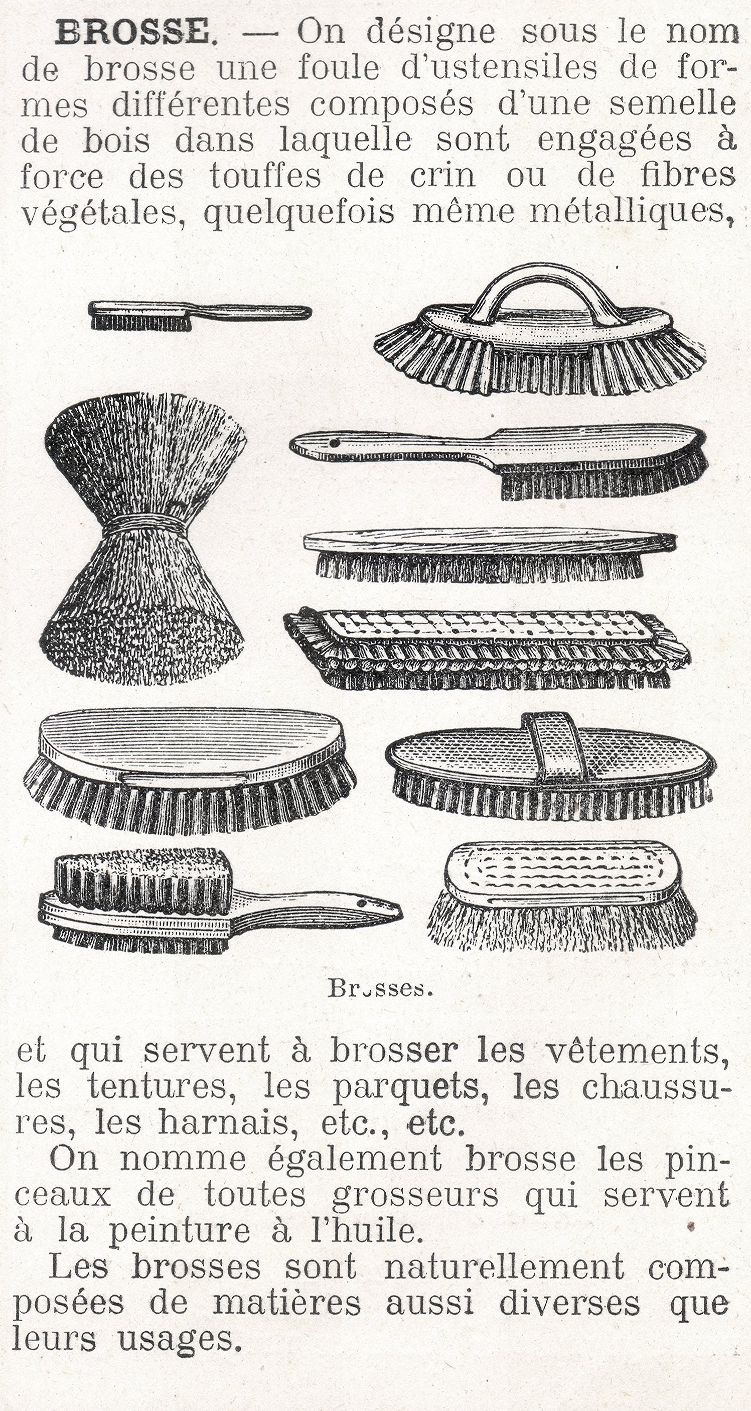 Brosse epicier T