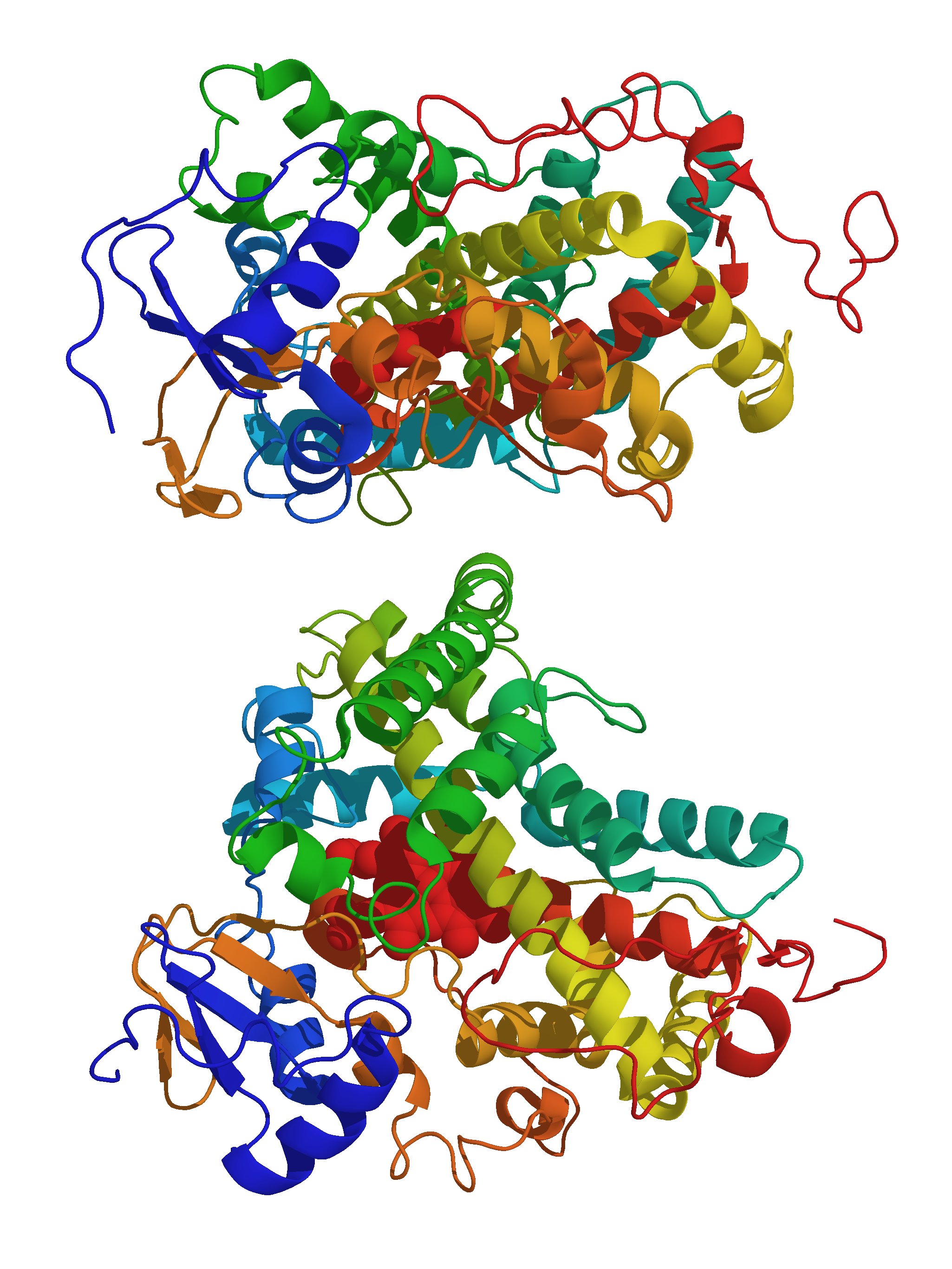 CYP21 2GEG