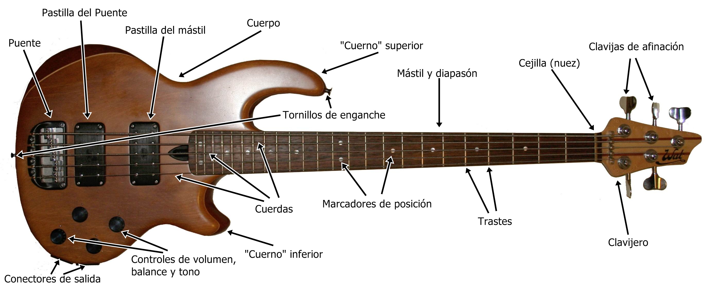 Electric bass anatomy