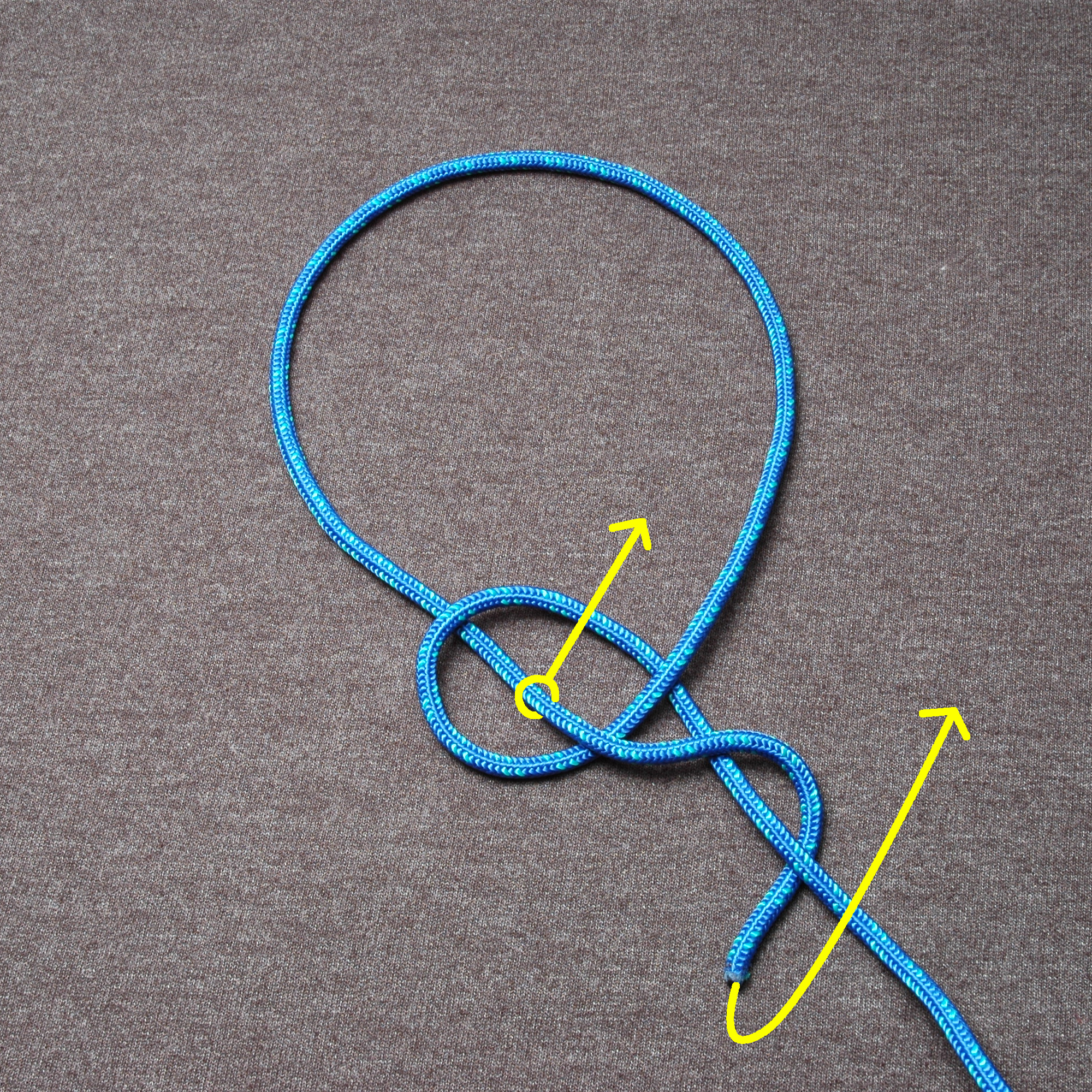 Fiador knot ABOK 1110 Tying Step 2