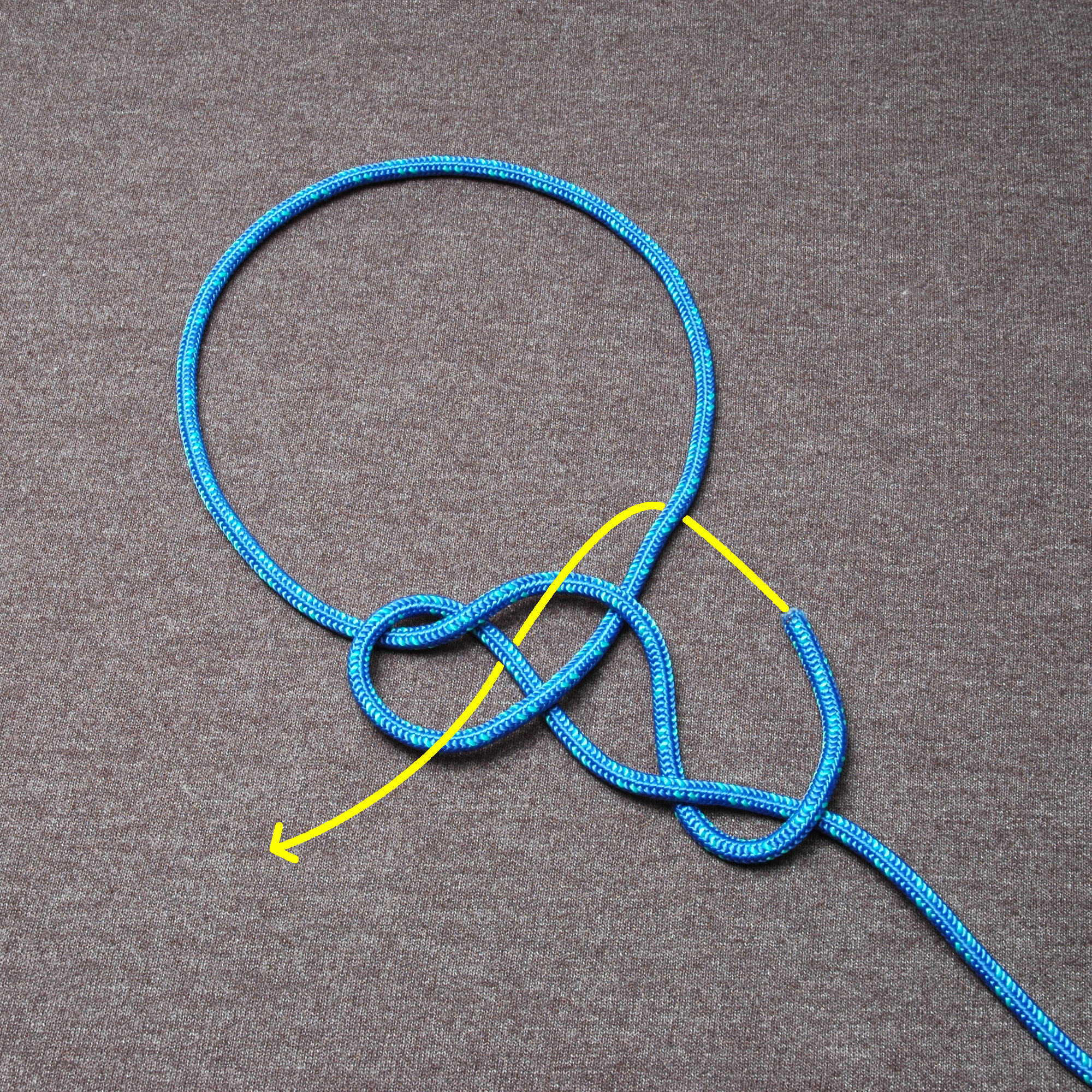 Fiador knot ABOK 1110 Tying Step 3