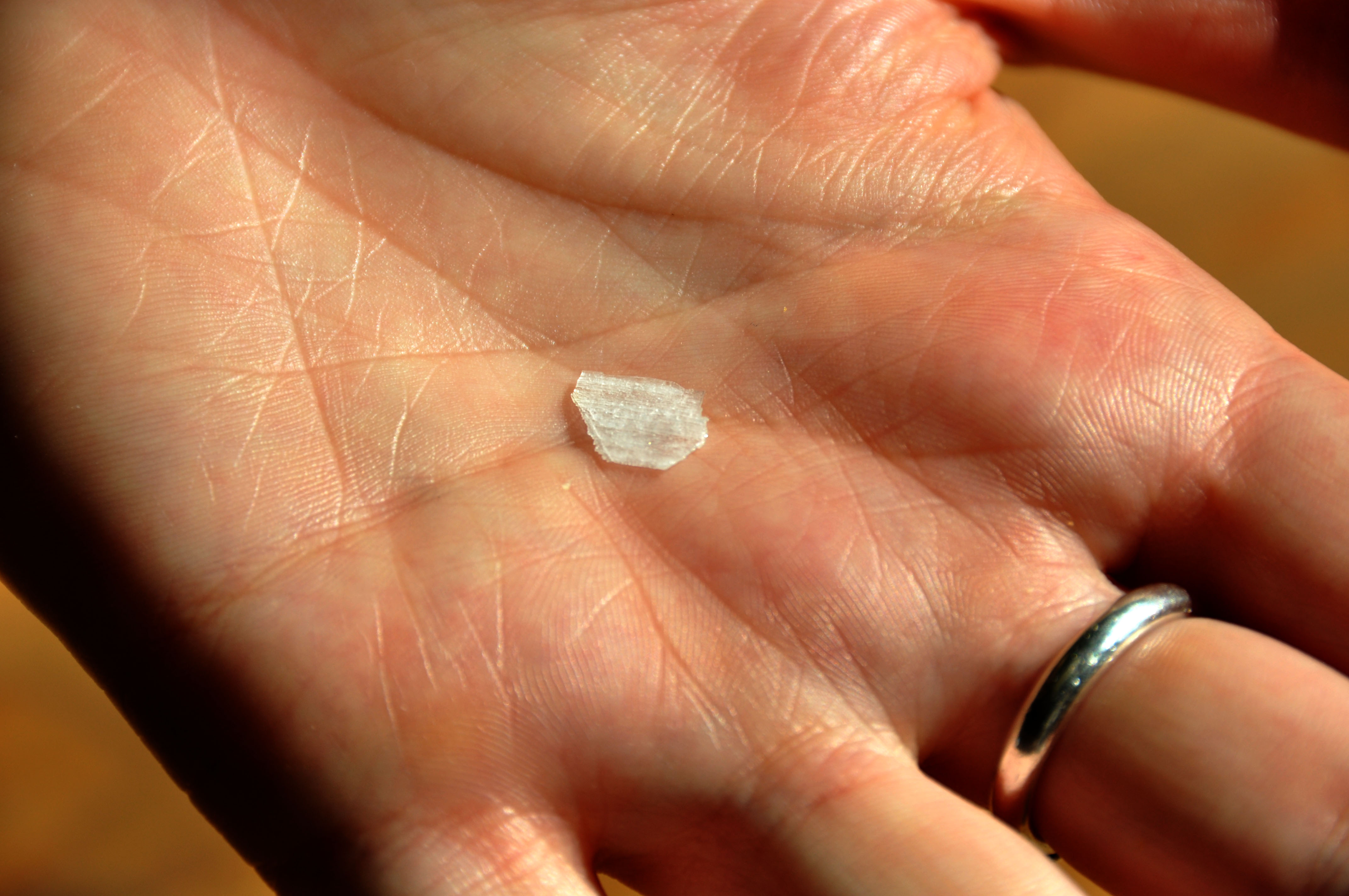 Flickr - cyclonebill - Salt